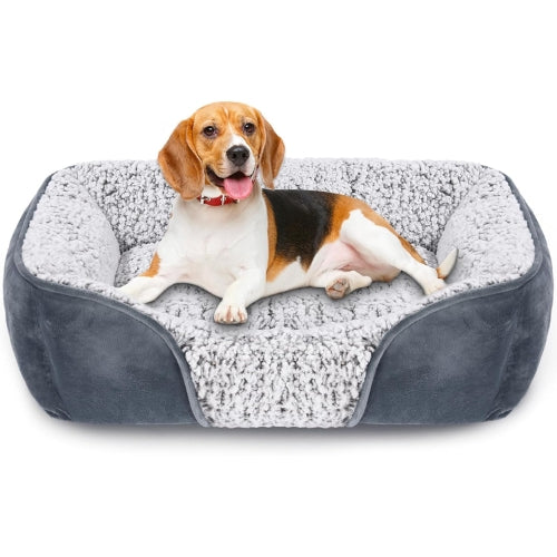 Dog Beds for Small Dogs